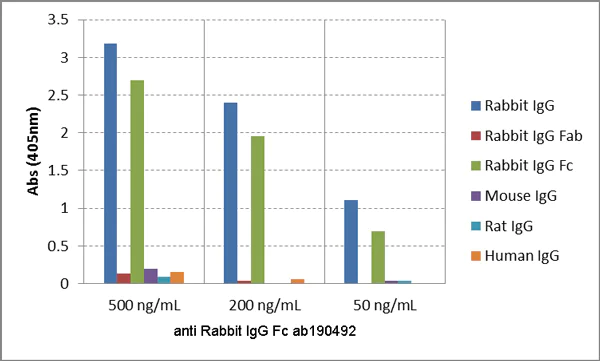 ELISA - Anti-Rabbit IgG Fc antibody [RMG02] (AB190492)