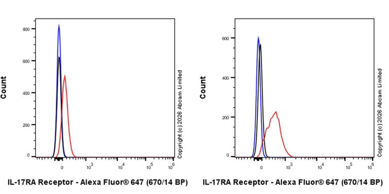 Flow Cytometry - Rabbit IgG, monoclonal [EPR25A] - Isotype Control (AB172730)