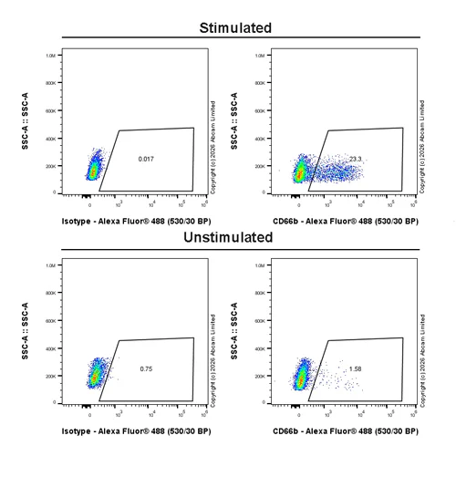 Flow Cytometry - Rabbit IgG, monoclonal [EPR25A] - Isotype Control (AB172730)
