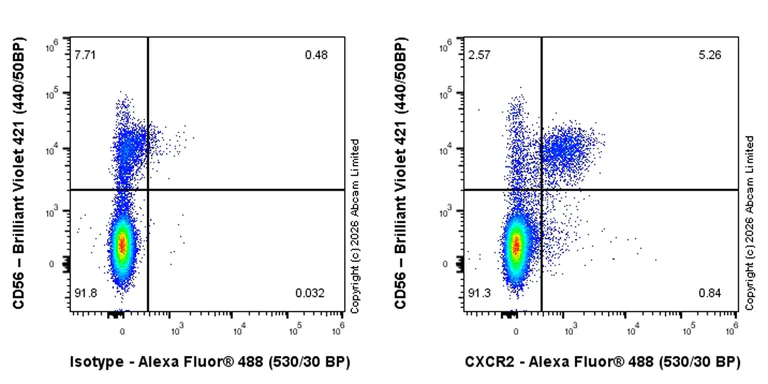 Flow Cytometry - Rabbit IgG, monoclonal [EPR25A] - Isotype Control (AB172730)