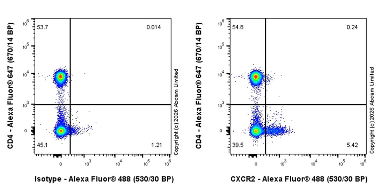 Flow Cytometry - Rabbit IgG, monoclonal [EPR25A] - Isotype Control (AB172730)