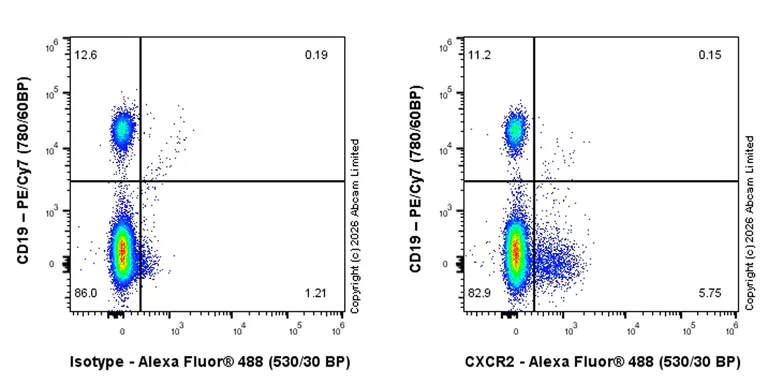Flow Cytometry - Rabbit IgG, monoclonal [EPR25A] - Isotype Control (AB172730)