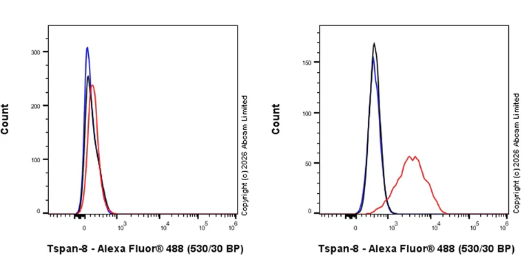 Flow Cytometry - Rabbit IgG, monoclonal [EPR25A] - Isotype Control (AB172730)