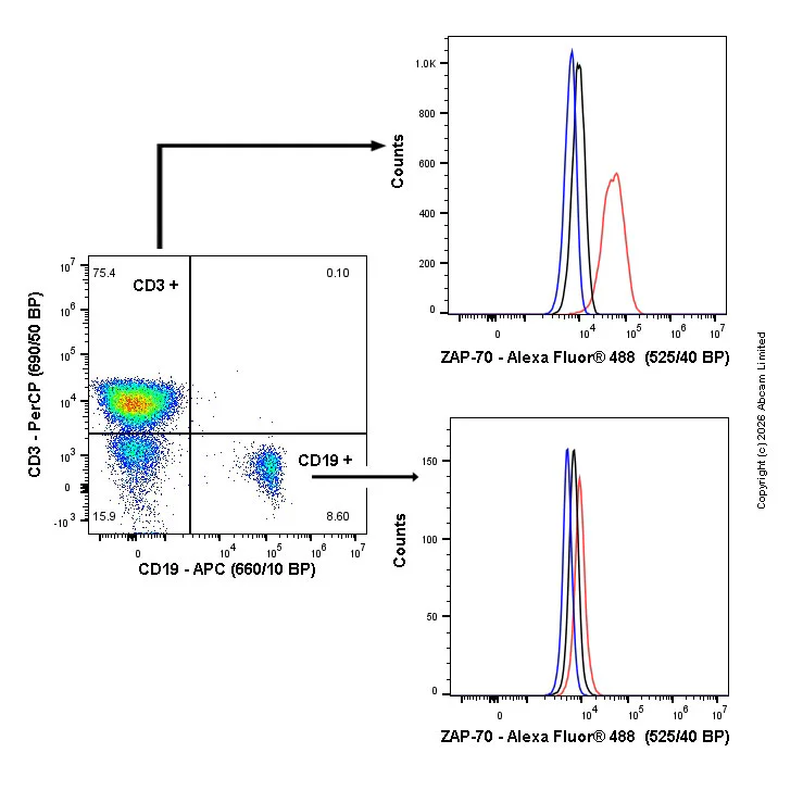 Flow Cytometry - Rabbit IgG, monoclonal [EPR25A] - Isotype Control (AB172730)