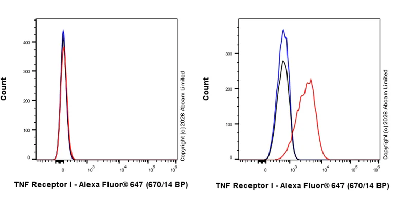 Flow Cytometry - Rabbit IgG, monoclonal [EPR25A] - Isotype Control (AB172730)