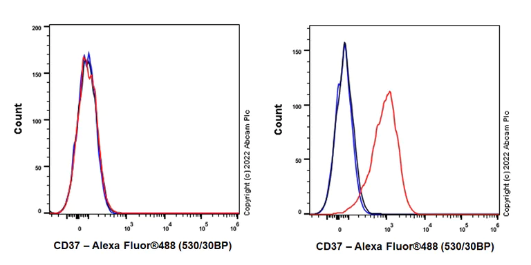 Flow Cytometry (Intracellular) - Rabbit IgG, monoclonal [EPR25A] - Isotype Control (AB172730)