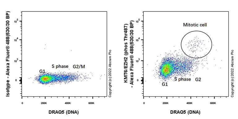 Flow Cytometry (Intracellular) - Rabbit IgG, monoclonal [EPR25A] - Isotype Control (AB172730)