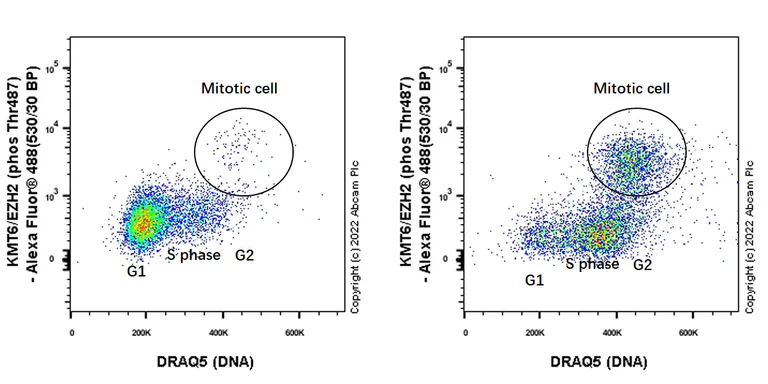 Flow Cytometry (Intracellular) - Rabbit IgG, monoclonal [EPR25A] - Isotype Control (AB172730)