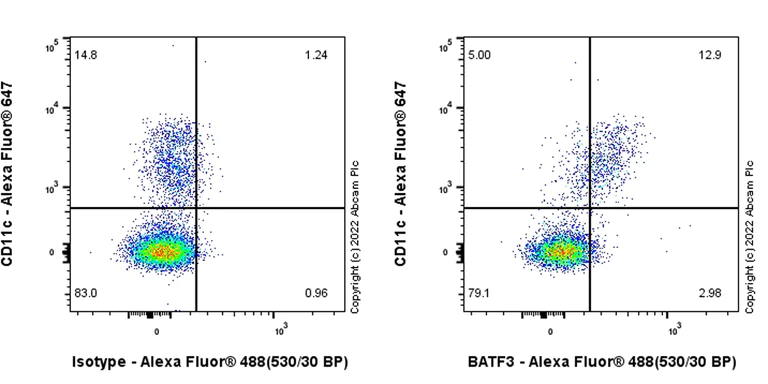 Flow Cytometry (Intracellular) - Rabbit IgG, monoclonal [EPR25A] - Isotype Control (AB172730)