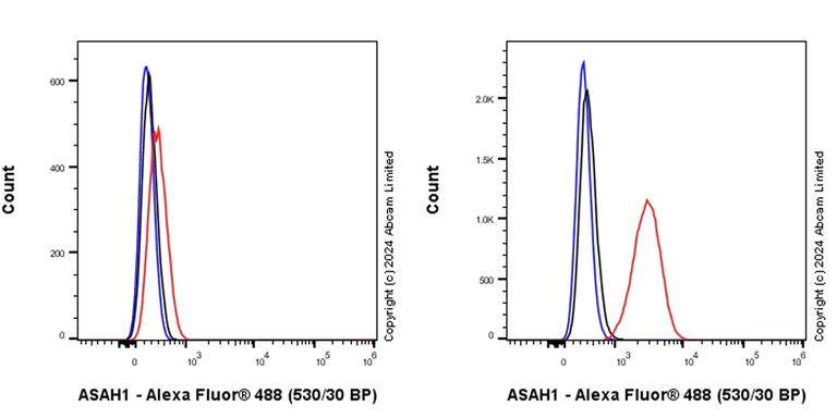 Flow Cytometry (Intracellular) - Rabbit IgG, monoclonal [EPR25A] - Isotype Control (AB172730)