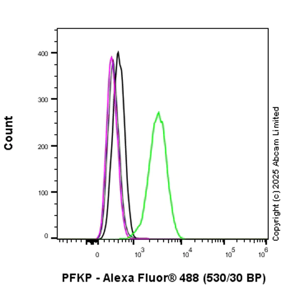 Flow Cytometry (Intracellular) - Rabbit IgG, monoclonal [EPR25A] - Isotype Control (AB172730)