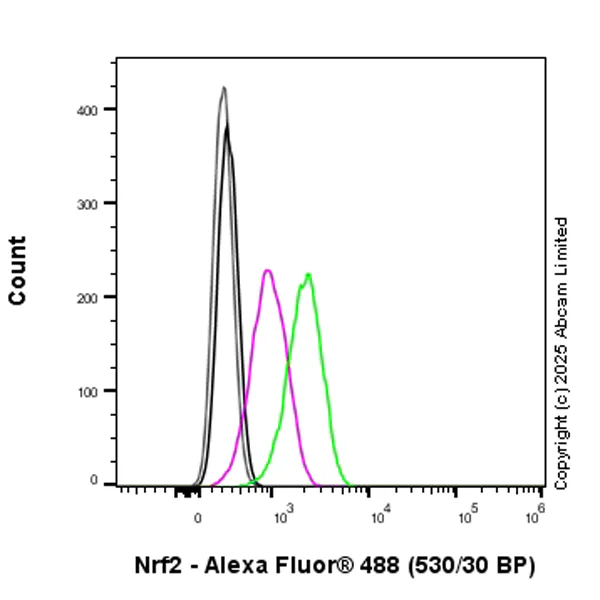 Flow Cytometry (Intracellular) - Rabbit IgG, monoclonal [EPR25A] - Isotype Control (AB172730)
