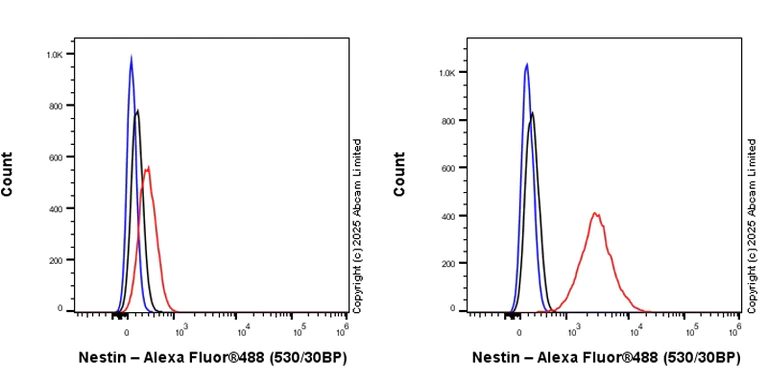 Flow Cytometry (Intracellular) - Rabbit IgG, monoclonal [EPR25A] - Isotype Control (AB172730)