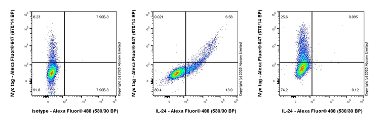 Flow Cytometry (Intracellular) - Rabbit IgG, monoclonal [EPR25A] - Isotype Control (AB172730)
