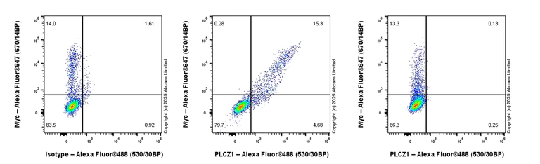 Flow Cytometry (Intracellular) - Rabbit IgG, monoclonal [EPR25A] - Isotype Control (AB172730)