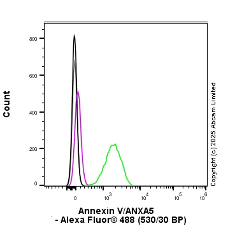 Flow Cytometry (Intracellular) - Rabbit IgG, monoclonal [EPR25A] - Isotype Control (AB172730)