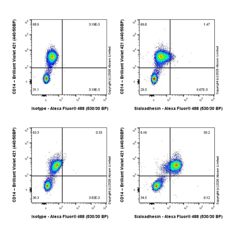 Flow Cytometry (Intracellular) - Rabbit IgG, monoclonal [EPR25A] - Isotype Control (AB172730)