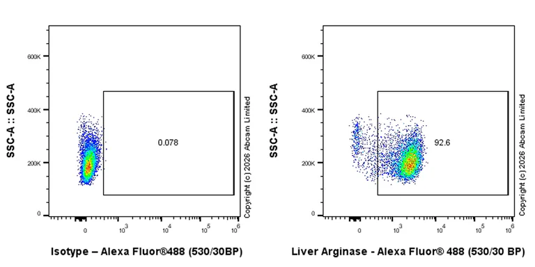Flow Cytometry (Intracellular) - Rabbit IgG, monoclonal [EPR25A] - Isotype Control (AB172730)