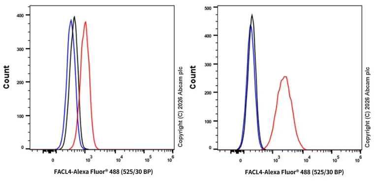Flow Cytometry (Intracellular) - Rabbit IgG, monoclonal [EPR25A] - Isotype Control (AB172730)