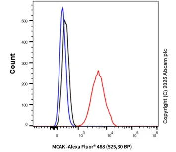 Flow Cytometry (Intracellular) - Rabbit IgG, monoclonal [EPR25A] - Isotype Control (AB172730)