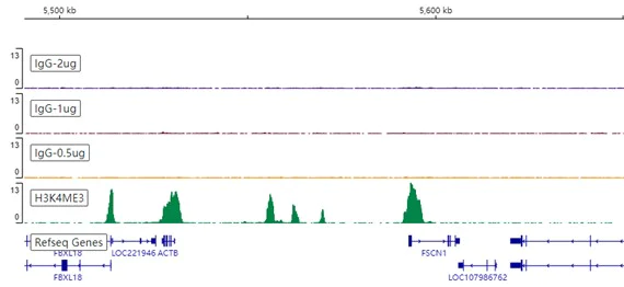 ChIC/CUT&RUN sequencing - Rabbit IgG, monoclonal [EPR25A] - Isotype Control - BSA and Azide Free (AB210849)