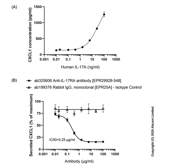 Functional Studies - Rabbit IgG, monoclonal [EPR25A] - Isotype Control (Low endotoxin, Azide free) (AB199376)
