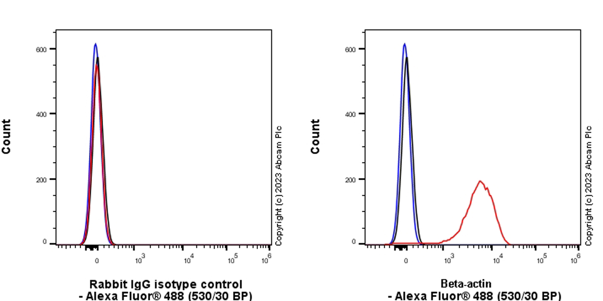 Flow Cytometry (Intracellular) - Rabbit IgG, multiclonal [RM1060] - Isotype control (ab313801), expandable thumbnail