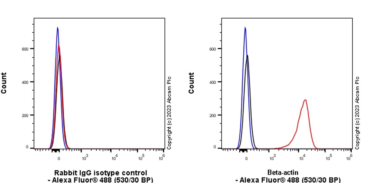Flow Cytometry (Intracellular) - Rabbit IgG, multiclonal [RM1060] - Isotype control (AB313801), expandable thumbnail