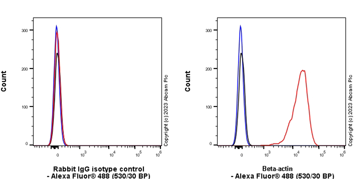 Flow Cytometry (Intracellular) - Rabbit IgG, multiclonal [RM1060] - Isotype control (AB313801), expandable thumbnail