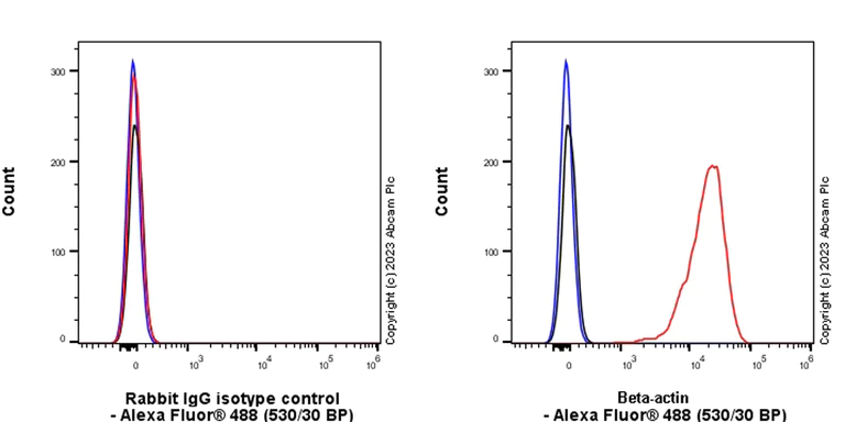 Flow Cytometry (Intracellular) - Rabbit IgG, multiclonal [RM1060] - Isotype control (AB313801)