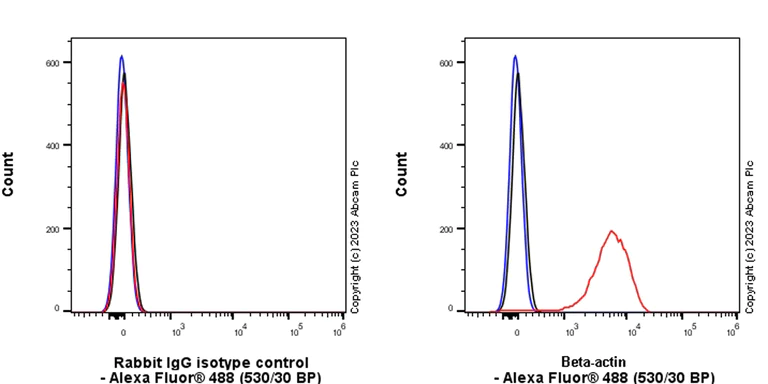 Flow Cytometry (Intracellular) - Rabbit IgG, multiclonal [RM1060] - Isotype control - BSA and Azide free (AB313802)