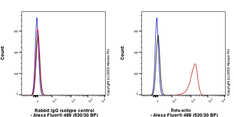 Flow Cytometry (Intracellular) - Rabbit IgG, multiclonal [RM1060] - Isotype control - BSA and Azide free (AB313802)
