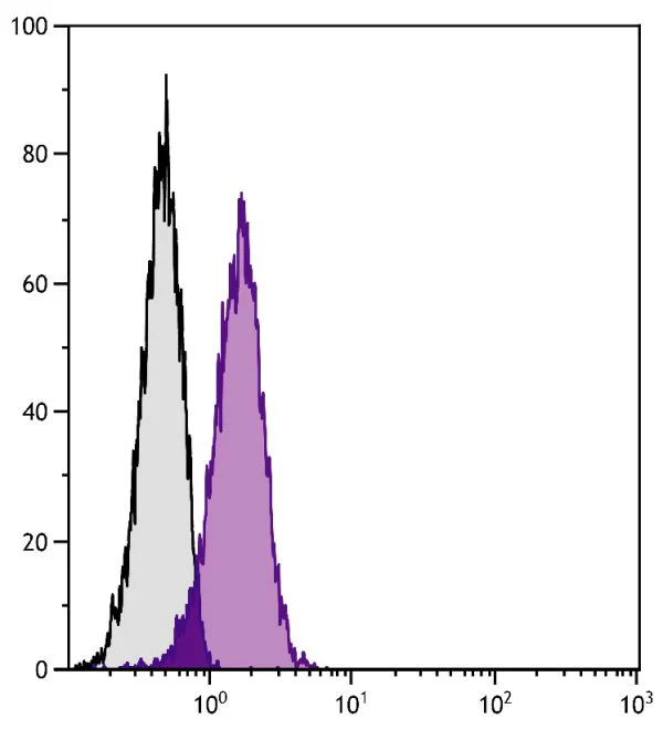 Flow Cytometry - Rabbit IgG, polyclonal - Isotype Control (AB37415)