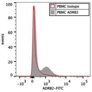 Flow Cytometry - Rabbit IgG, polyclonal - Isotype Control (AB37415)