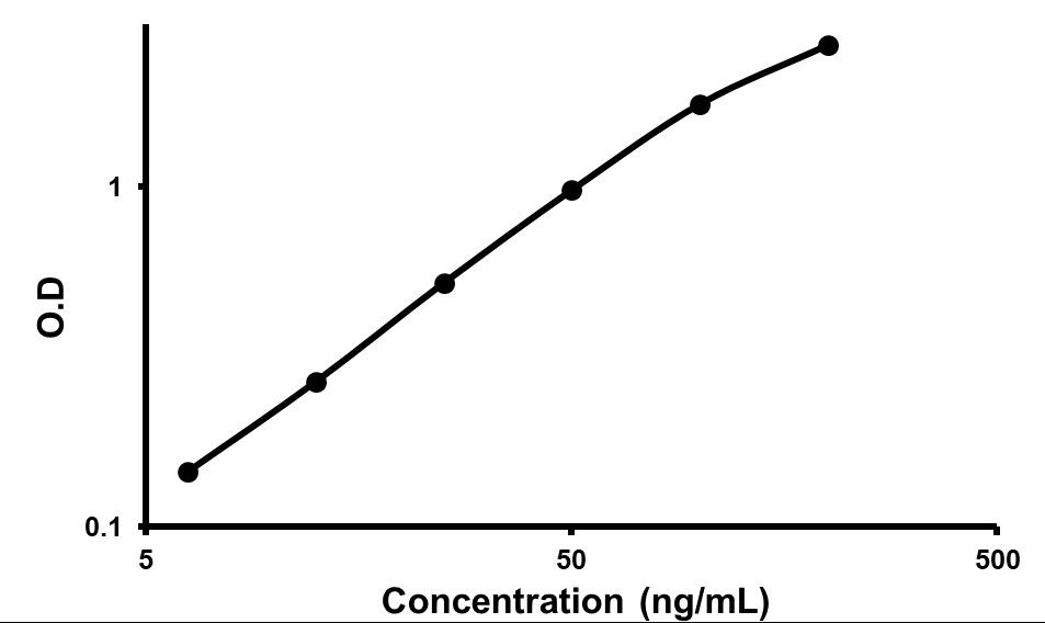 Sandwich ELISA - Rabbit IgM ELISA Kit (AB190539)