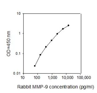 Sandwich ELISA - Rabbit MMP9 ELISA Kit (AB273243)