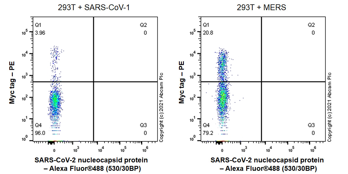 Flow Cytometry (Intracellular) - Rabbit monoclonal [EPR24334-118] to SARS-CoV-2 nucleocapsid protein (ab271180), expandable thumbnail
