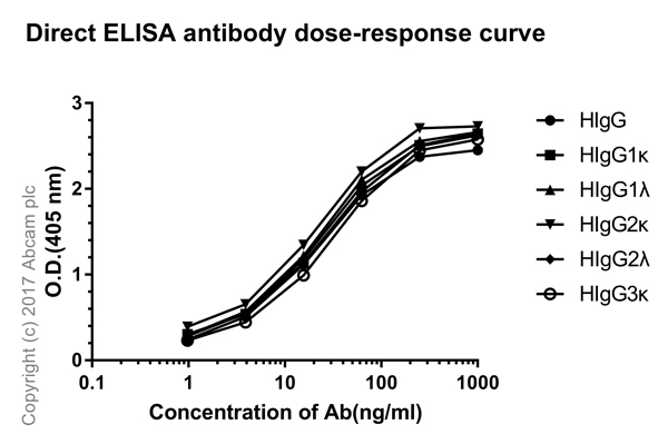 ELISA - Rabbit monoclonal [H169-1-5] Anti-Human IgG Fc (AB125909), expandable thumbnail