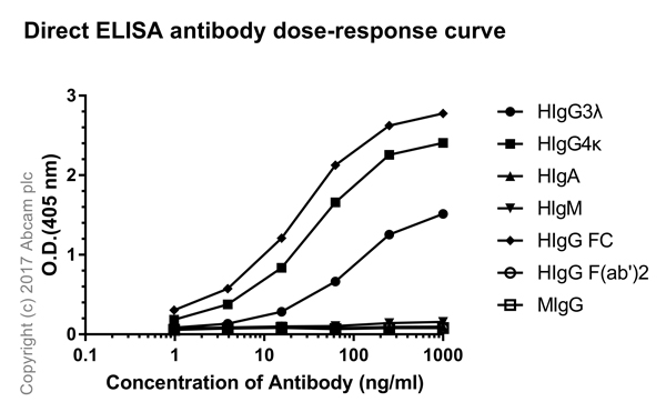 ELISA - Rabbit monoclonal [H169-1-5] Anti-Human IgG Fc (AB125909), expandable thumbnail