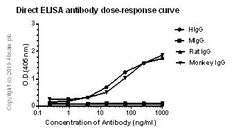 ELISA - Rabbit monoclonal [H169-1-5] Anti-Human IgG Fc - BSA and Azide free (AB288280)