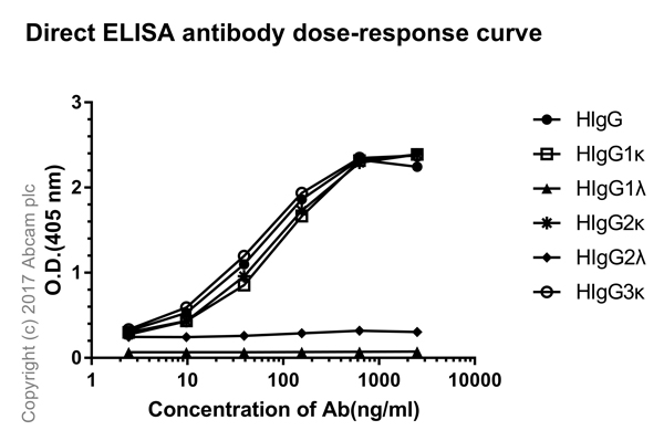 ELISA - Rabbit monoclonal [H19-5] Anti-Human kappa light chain (AB125919), expandable thumbnail