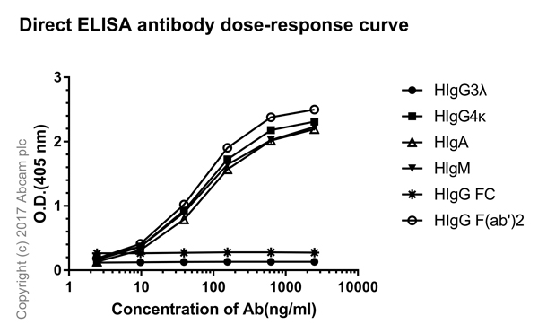 ELISA - Rabbit monoclonal [H19-5] Anti-Human kappa light chain (AB125919), expandable thumbnail