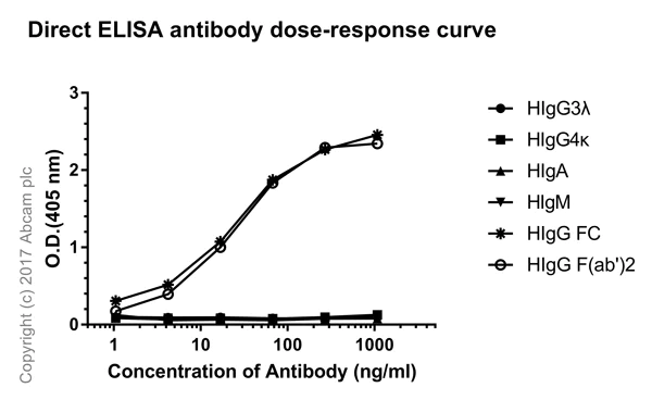 ELISA - Rabbit monoclonal [H26-10] Anti-Human IgG1 H&L - BSA and Azide free (AB288281)