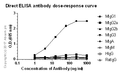 ELISA - Rabbit monoclonal [M1gG51-4] Anti-Mouse IgG1 H&L (AB125913), expandable thumbnail