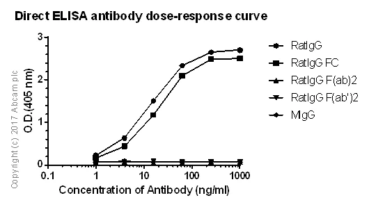 ELISA - Rabbit monoclonal [R18-2] Anti-Rat IgG Fc (AB125900)