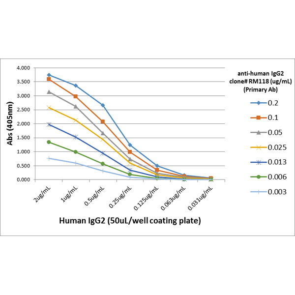 Rabbit monoclonal [RM118] Anti-Human IgG2 heavy chain (Biotin)