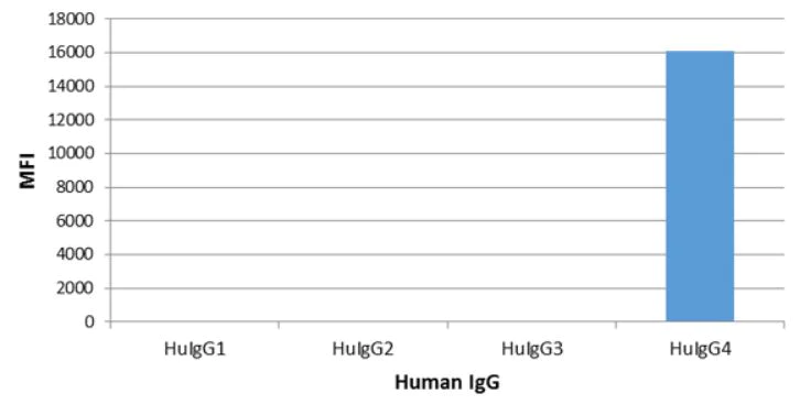 ELISA - Rabbit monoclonal [RM217] Anti-Human IgG4 Fc (Biotin) (AB272185)