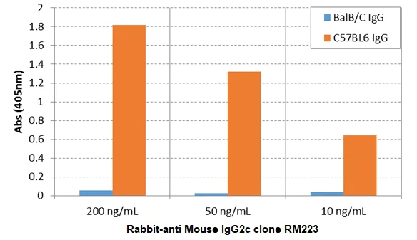 ELISA - Rabbit monoclonal [RM223] Anti-Mouse IgG2c Fc (Biotin) (AB238619)