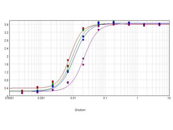 ELISA - Rabbit Anti-Mouse IgG H&L (Biotin) preadsorbed (AB7074)