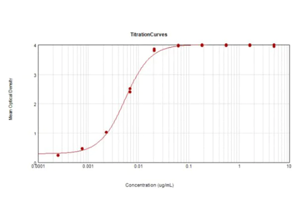 ELISA - Rabbit Anti-Mouse IgG H&L (HRP) (AB6728)